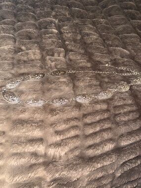 Silver Western Conch Belt